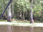 p8020091