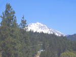 p7100031