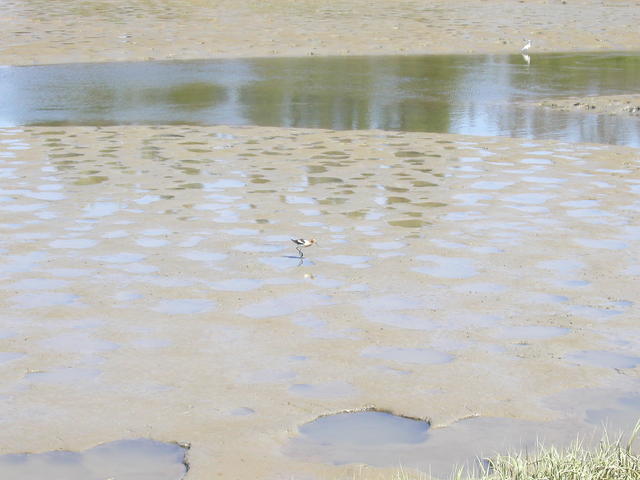 p5110010