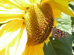 p8200009