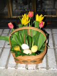 Spring Equinox 2007