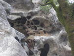 Hike with Greg