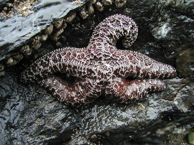 p1190005