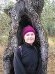 Pulgas Ridge Oaks