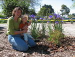 Volunteer Gardening at Samaritan House