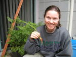 First Carrots