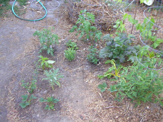 p6100015